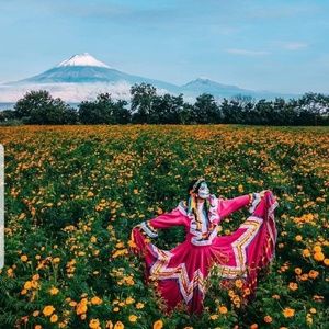 Meet your Posher, Erica